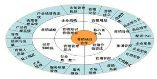 信息咨询服务 专业咨询产品与服务的全面解析