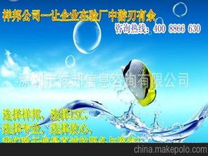 信息咨询服务供应商与价格体系解析